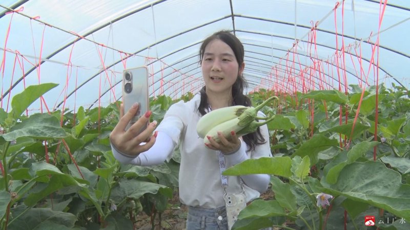 电商行业风起云涌：广水市瑜泥电子商务有限公司的突围之路